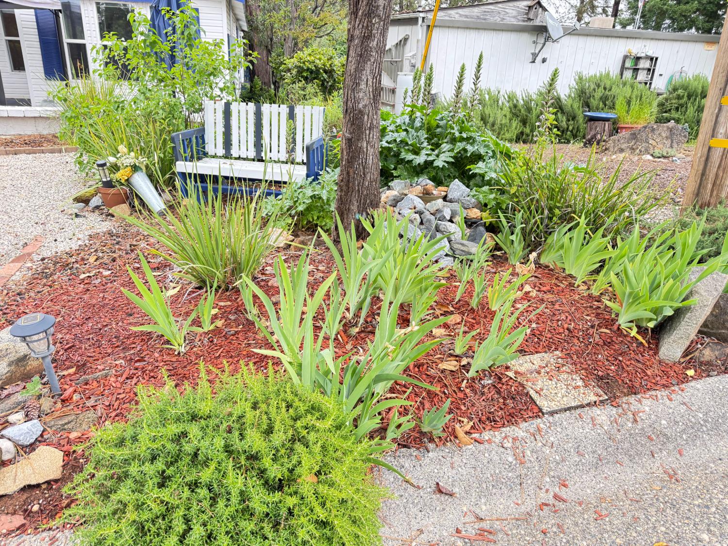 593 West Dundee Court Applegate, CA 95703 - Photo 40 of 42