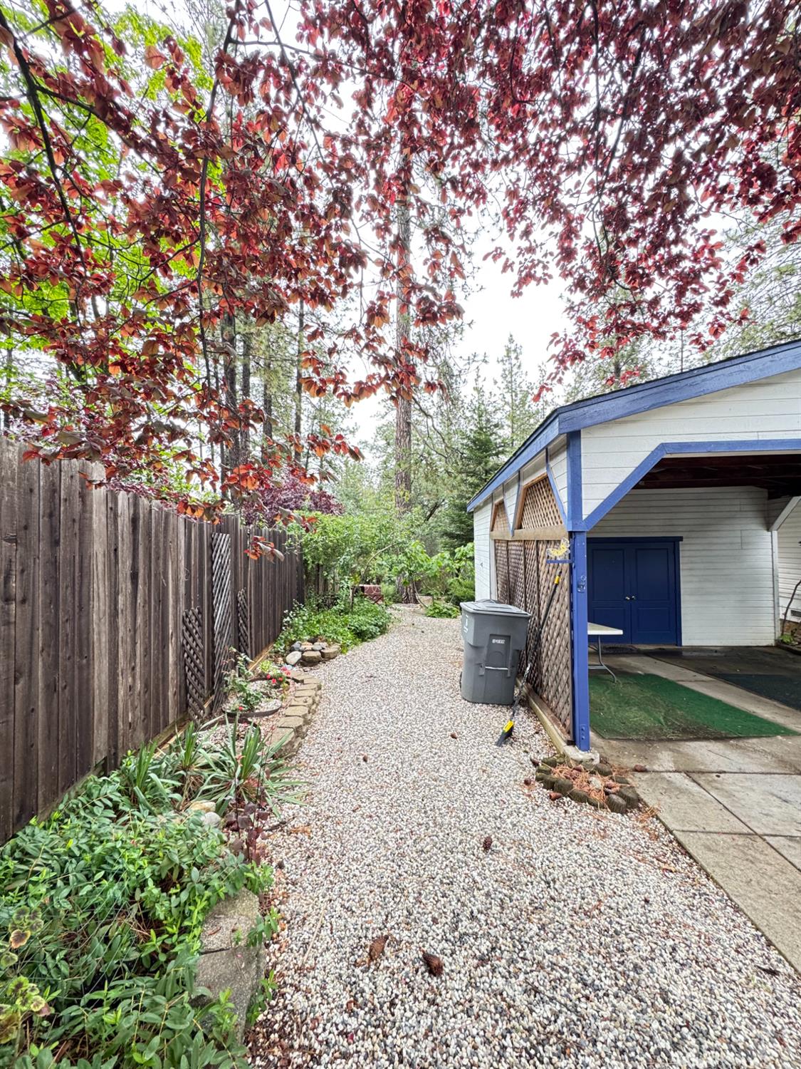 593 West Dundee Court Applegate, CA 95703 - Photo 5 of 42