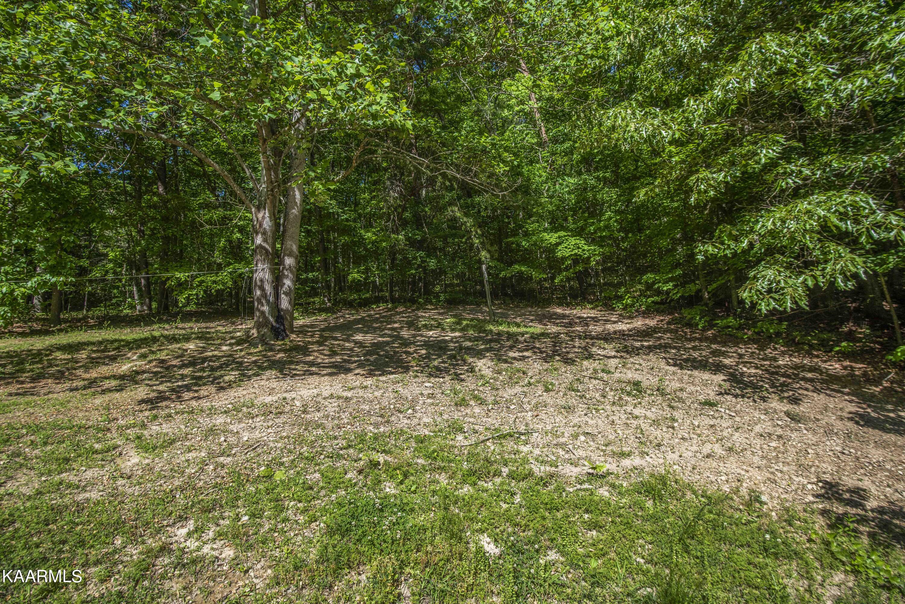 147 Crisman Road Heiskell, TN 37754 - Photo 19 of 23 yard 11_1
