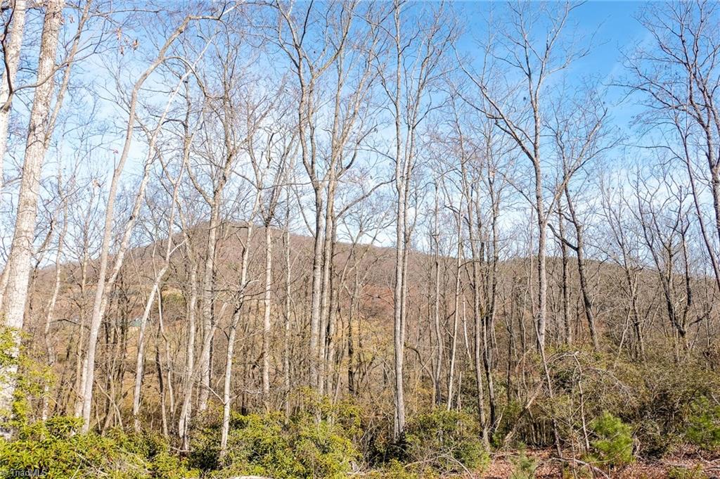 1 Grassy Fork Road Elkin, NC 28621 - Photo 3 of 11 Gallery Image 3