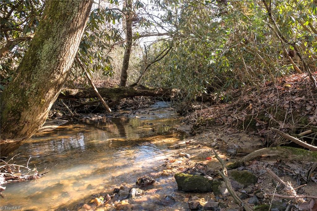 1 Grassy Fork Road Elkin, NC 28621 - Photo 10 of 11 Gallery Image 10