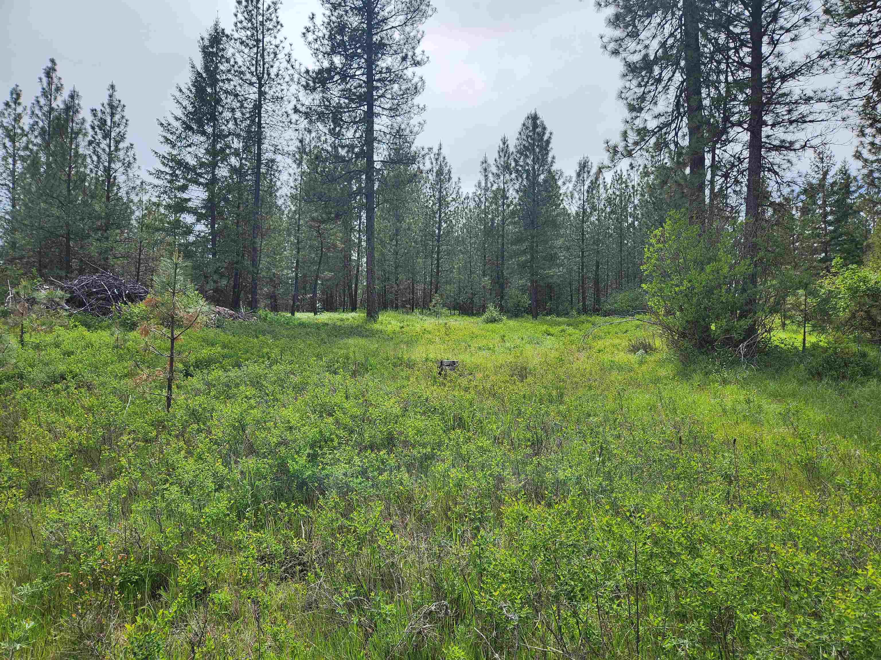 6269 Miller Mountain Road Fruitland, WA 99129 - Photo 4 of 10