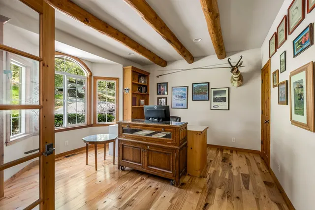 a view of a city with tall trees