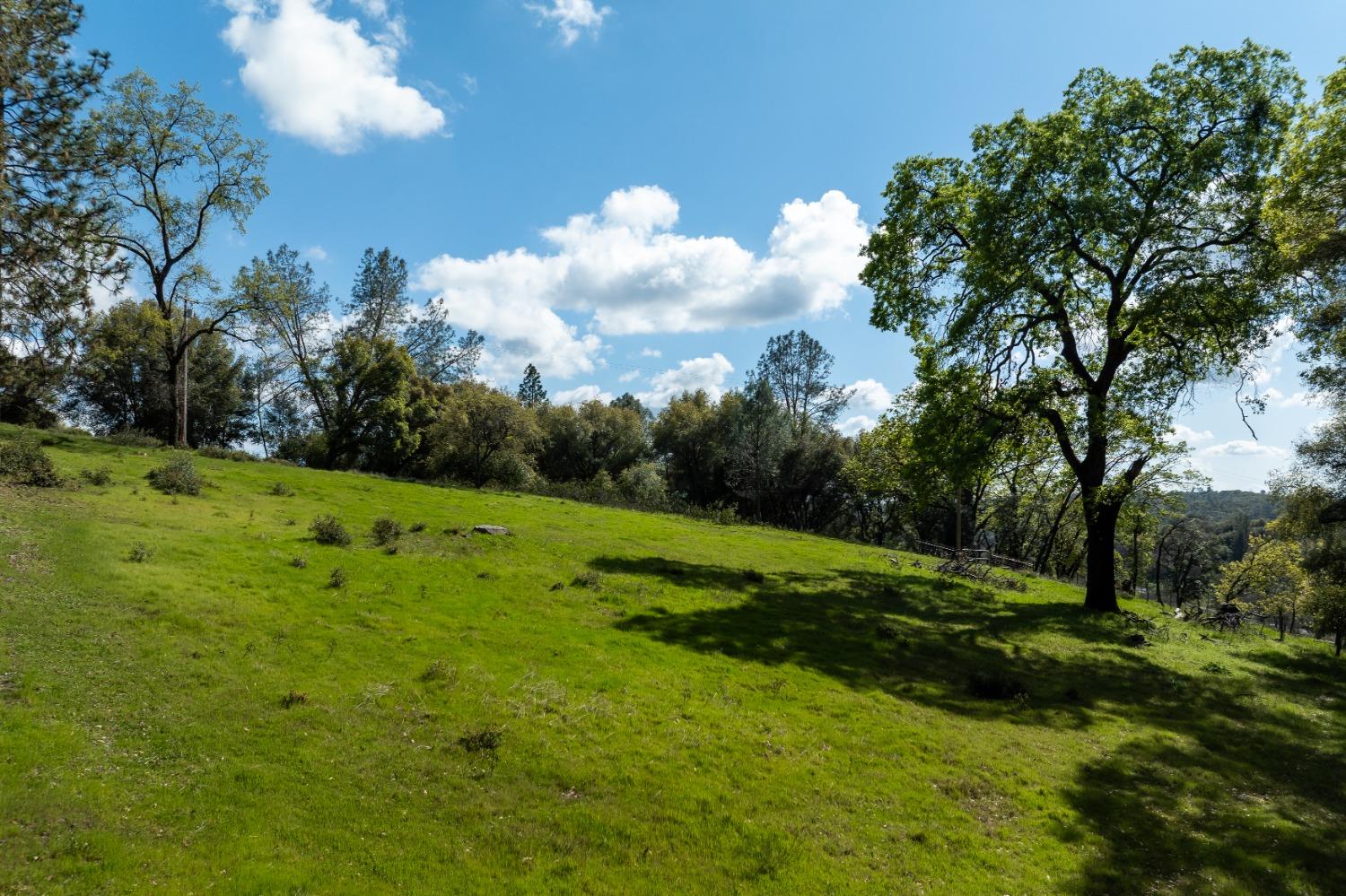 16305 Duggans Road Grass Valley, CA 95949 - Photo 36 of 41