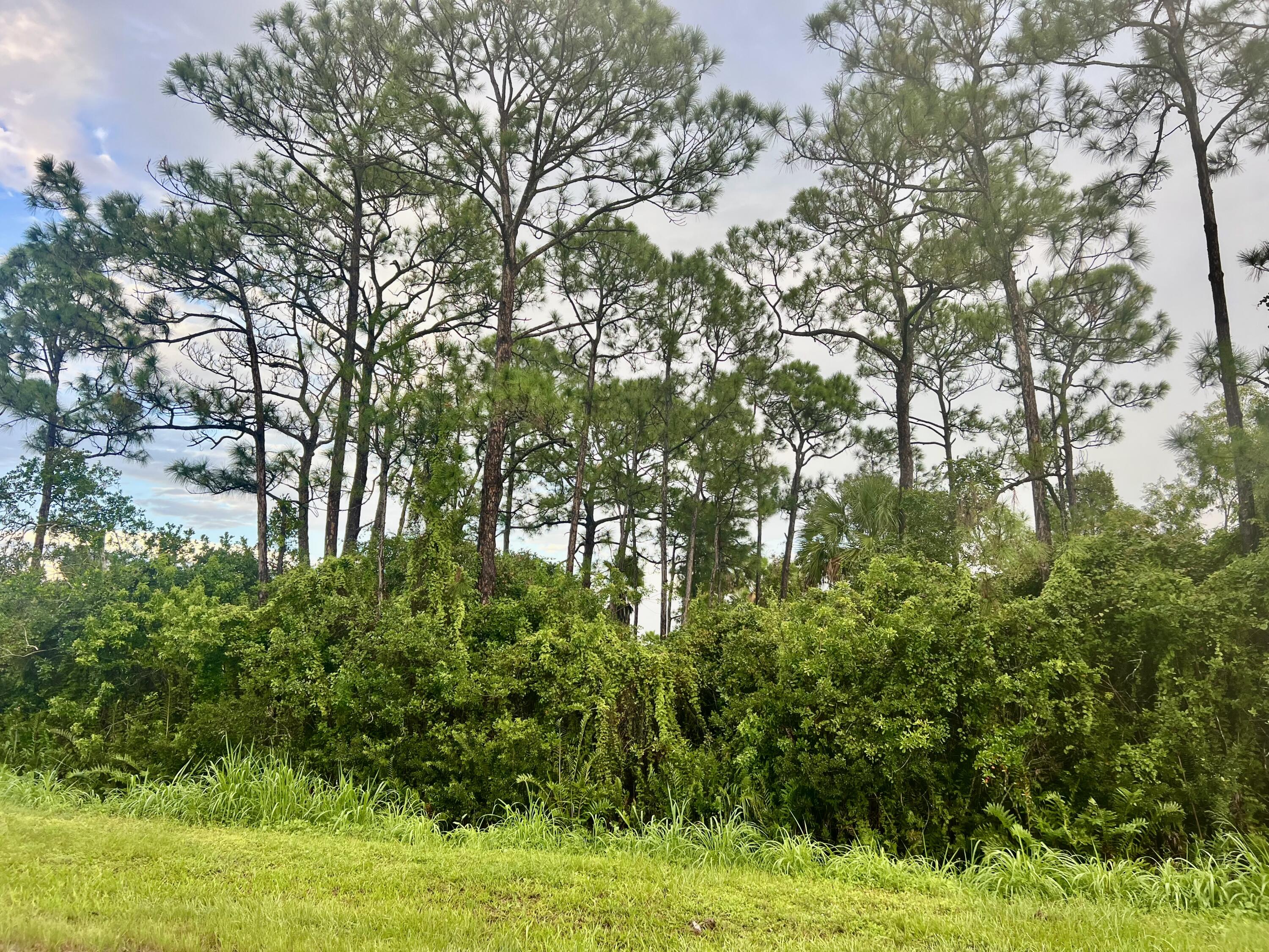 0 Bennett Road Fort Pierce, FL 34947 - Photo 4 of 9 across the street