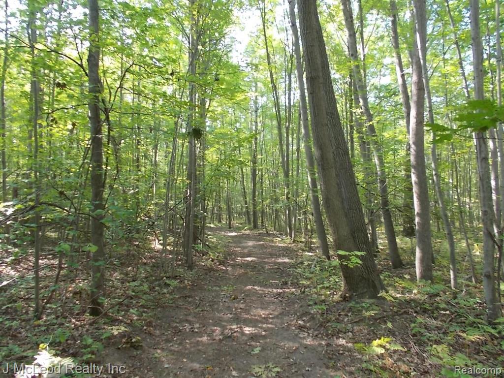 1805 Pierce Road Caro, MI 48723 - Photo 9 of 32
