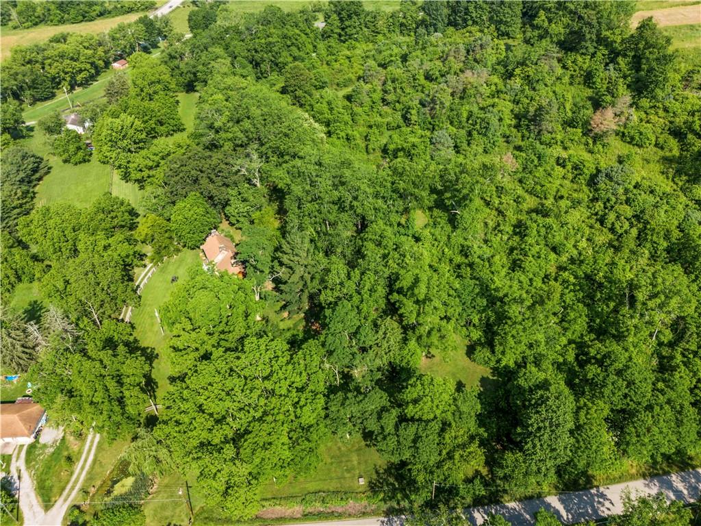 117 Havers Hill Road Jefferson, PA 15344 - Photo 41 of 44 a view of a lush green forest