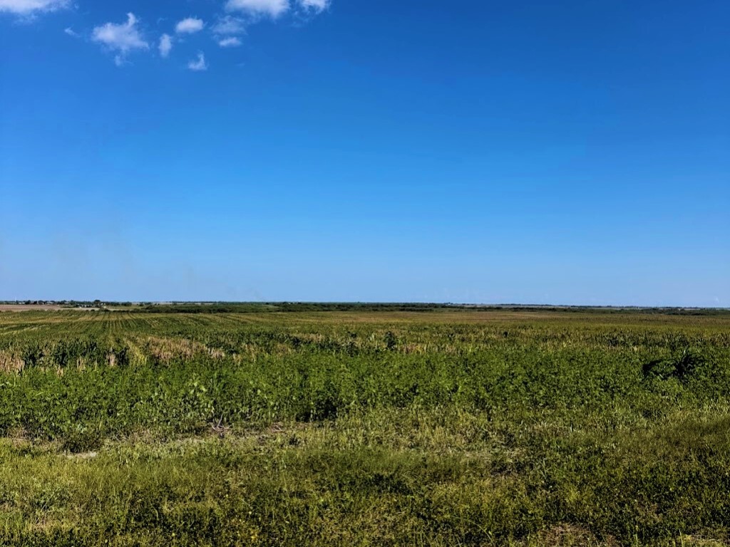 Tbd County Rd 1070 Kingsville, TX 78363 - Photo 8 of 10