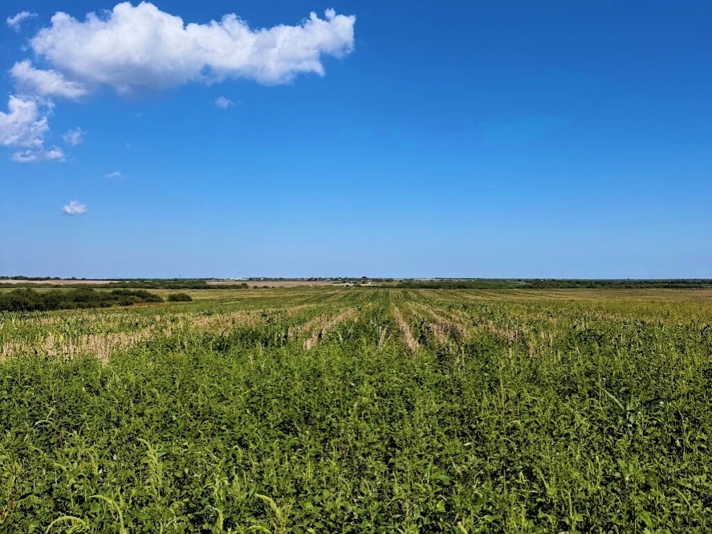 Tbd County Rd 1070 Kingsville, TX 78363 - Photo 9 of 10 a view of an ocean
