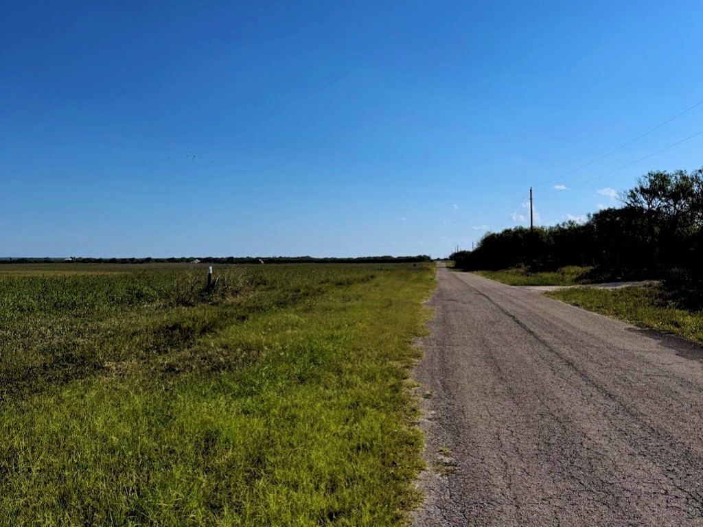 Tbd County Rd 1070 Kingsville, TX 78363 - Photo 10 of 10 a view of outdoor space and yard