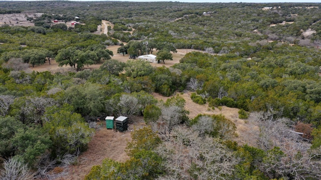 180 Bee Hive Road Hunt, TX 78024 - Photo 36 of 61