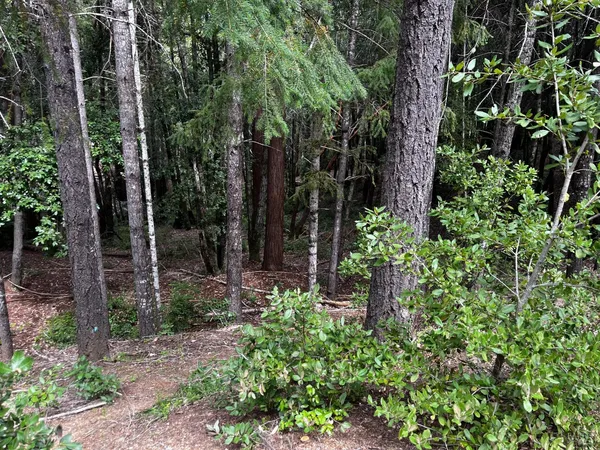 $5,000 | 1572 Camellia Place, Willits, CA 95490