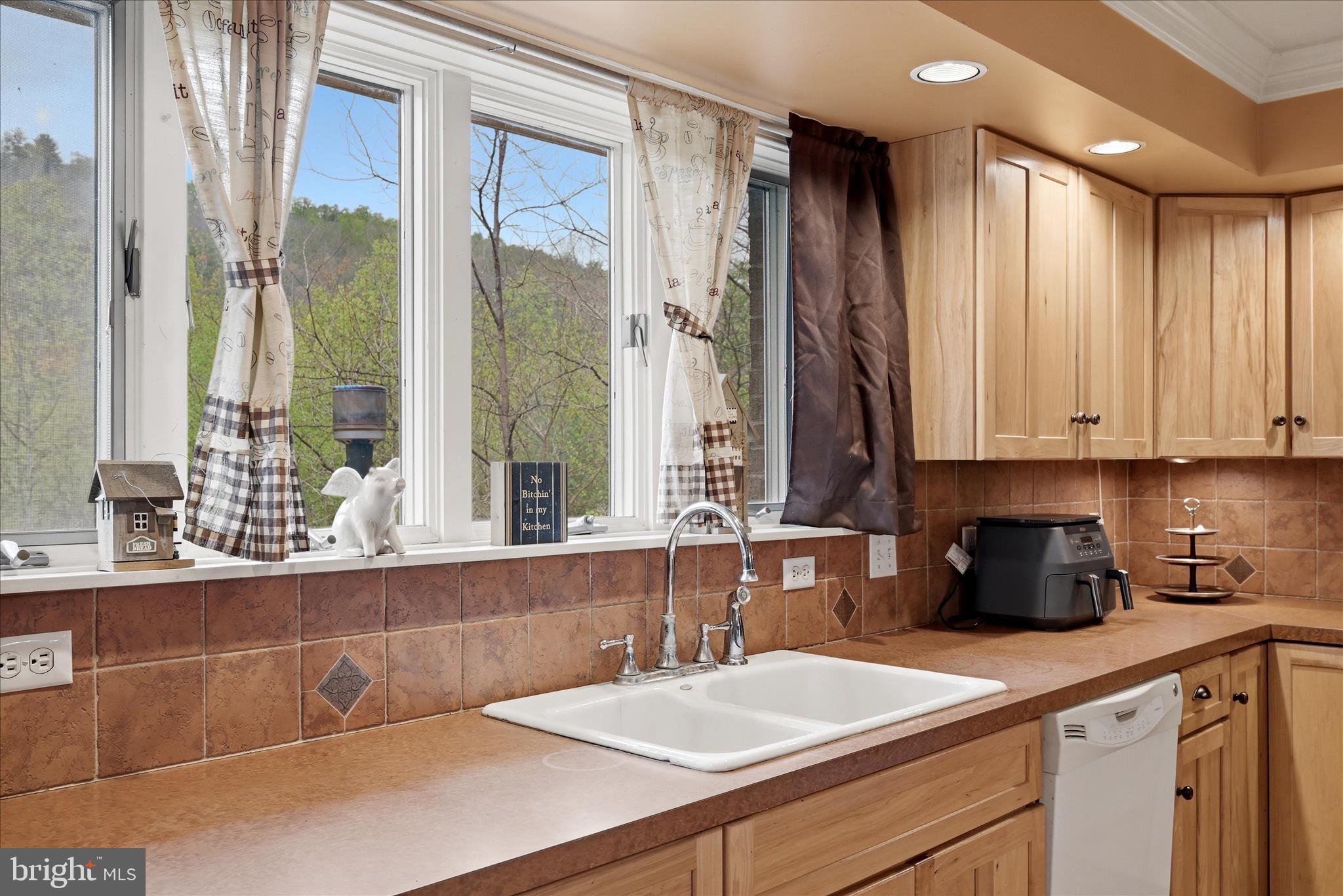 783 Ritters Valley Drive Capon Bridge, WV 26711 - Photo 16 of 73 Kitchen
