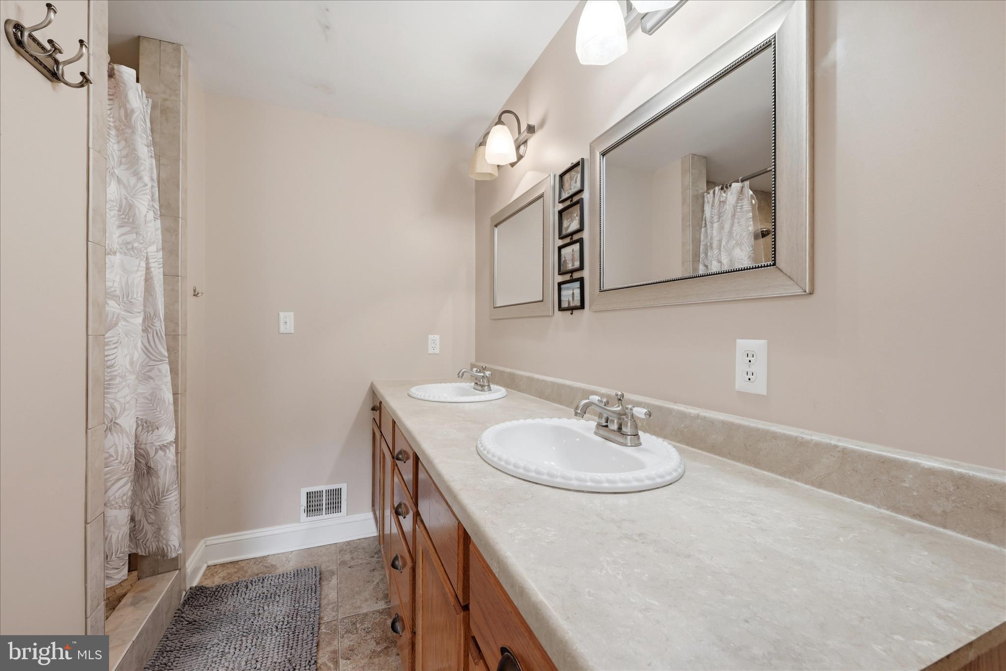 783 Ritters Valley Drive Capon Bridge, WV 26711 - Photo 23 of 73 Primary Bathroom