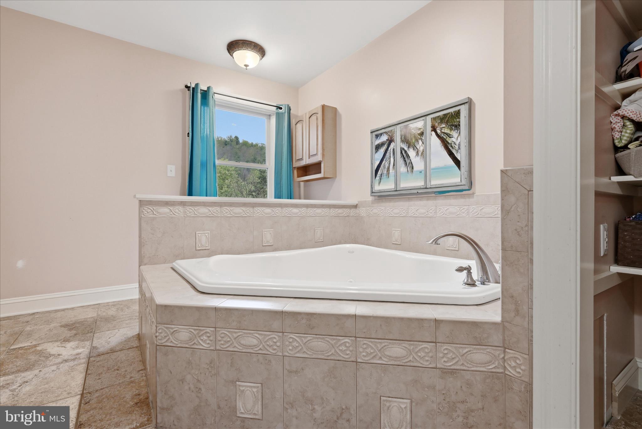 783 Ritters Valley Drive Capon Bridge, WV 26711 - Photo 25 of 73 Primary Bathroom