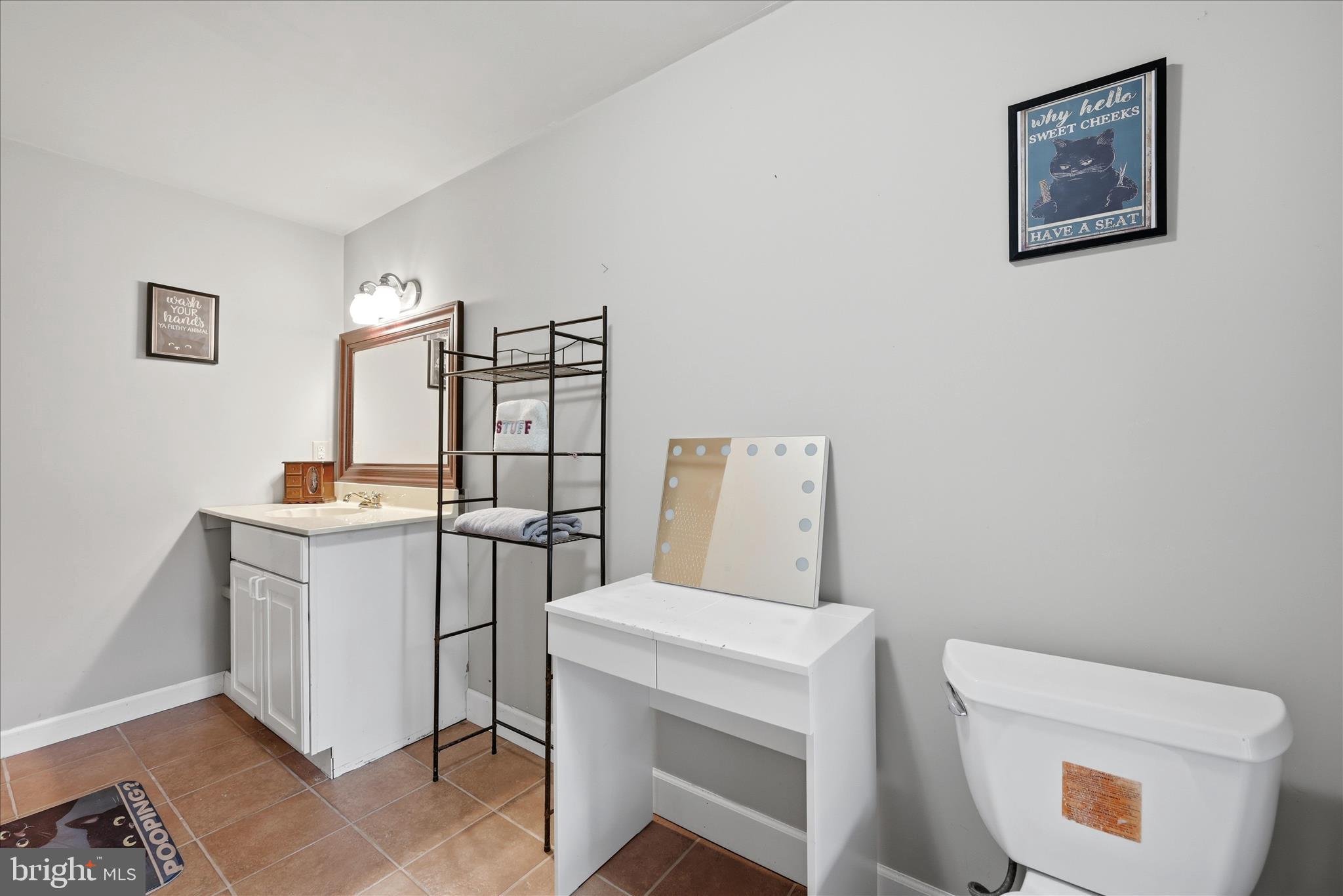 783 Ritters Valley Drive Capon Bridge, WV 26711 - Photo 39 of 73 Bathroom