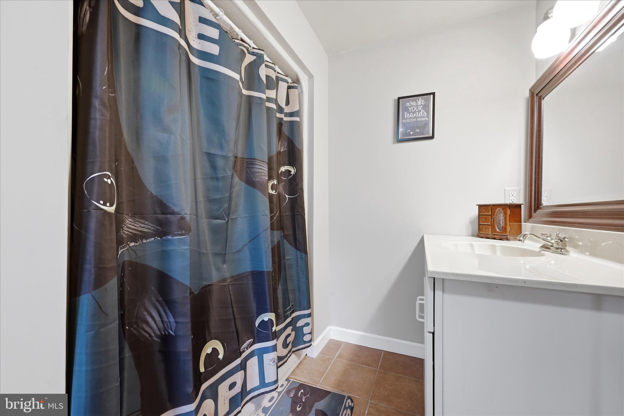 783 Ritters Valley Drive Capon Bridge, WV 26711 - Photo 40 of 73 Bathroom