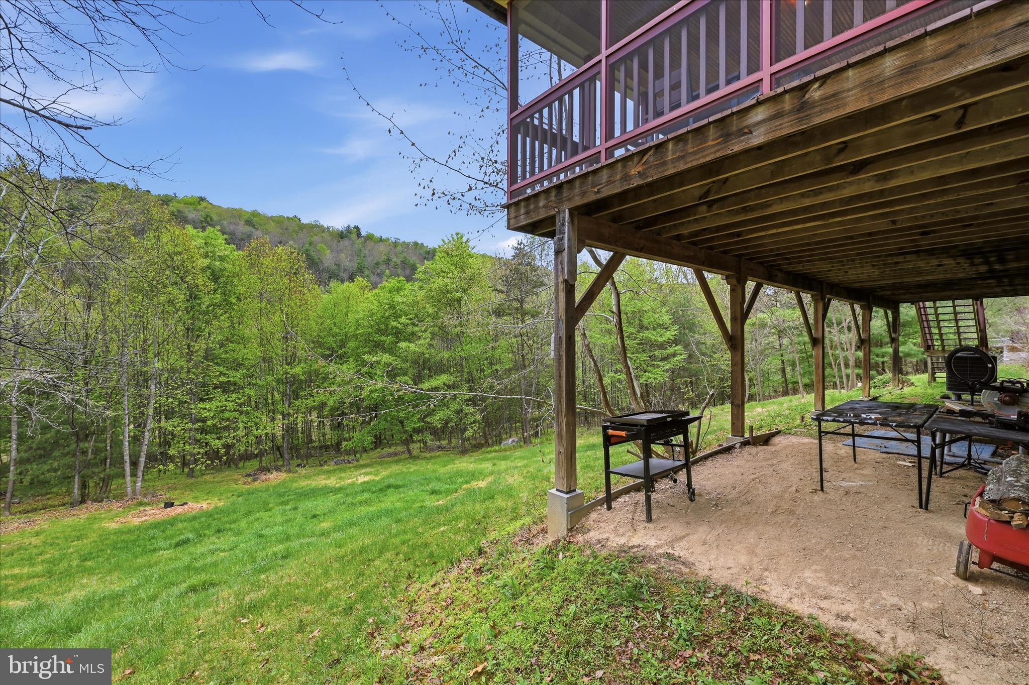 783 Ritters Valley Drive Capon Bridge, WV 26711 - Photo 51 of 73 Patio