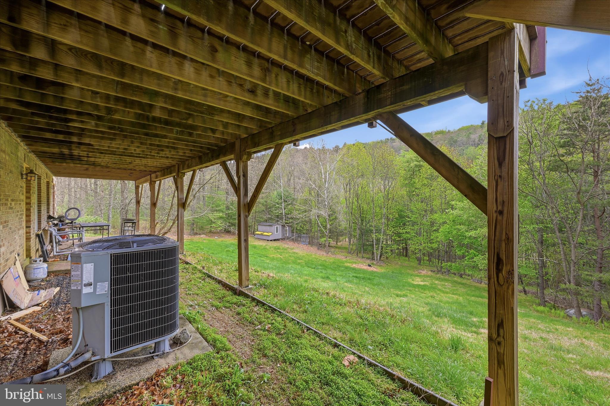 783 Ritters Valley Drive Capon Bridge, WV 26711 - Photo 52 of 73 Patio