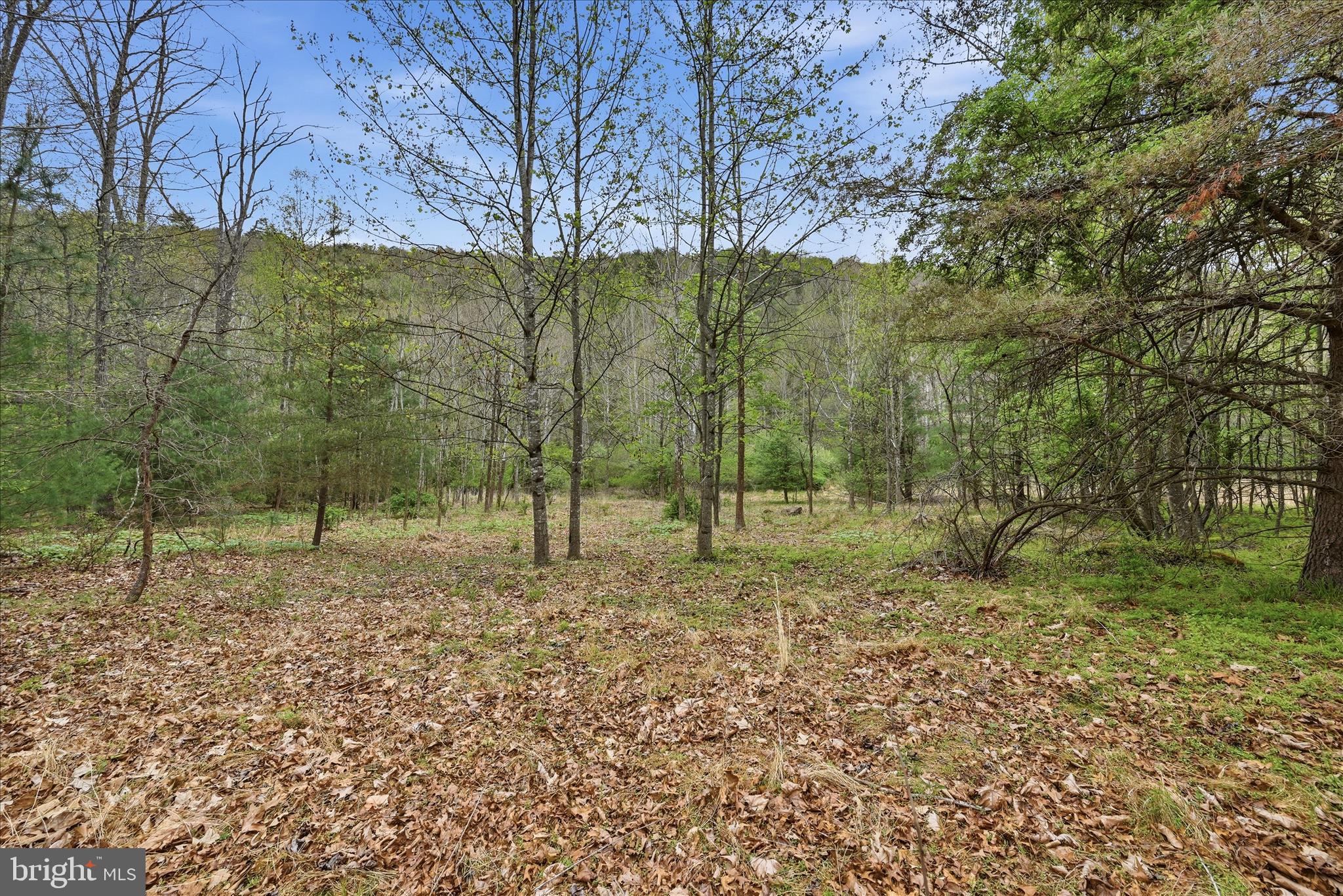 783 Ritters Valley Drive Capon Bridge, WV 26711 - Photo 60 of 73 Open Area