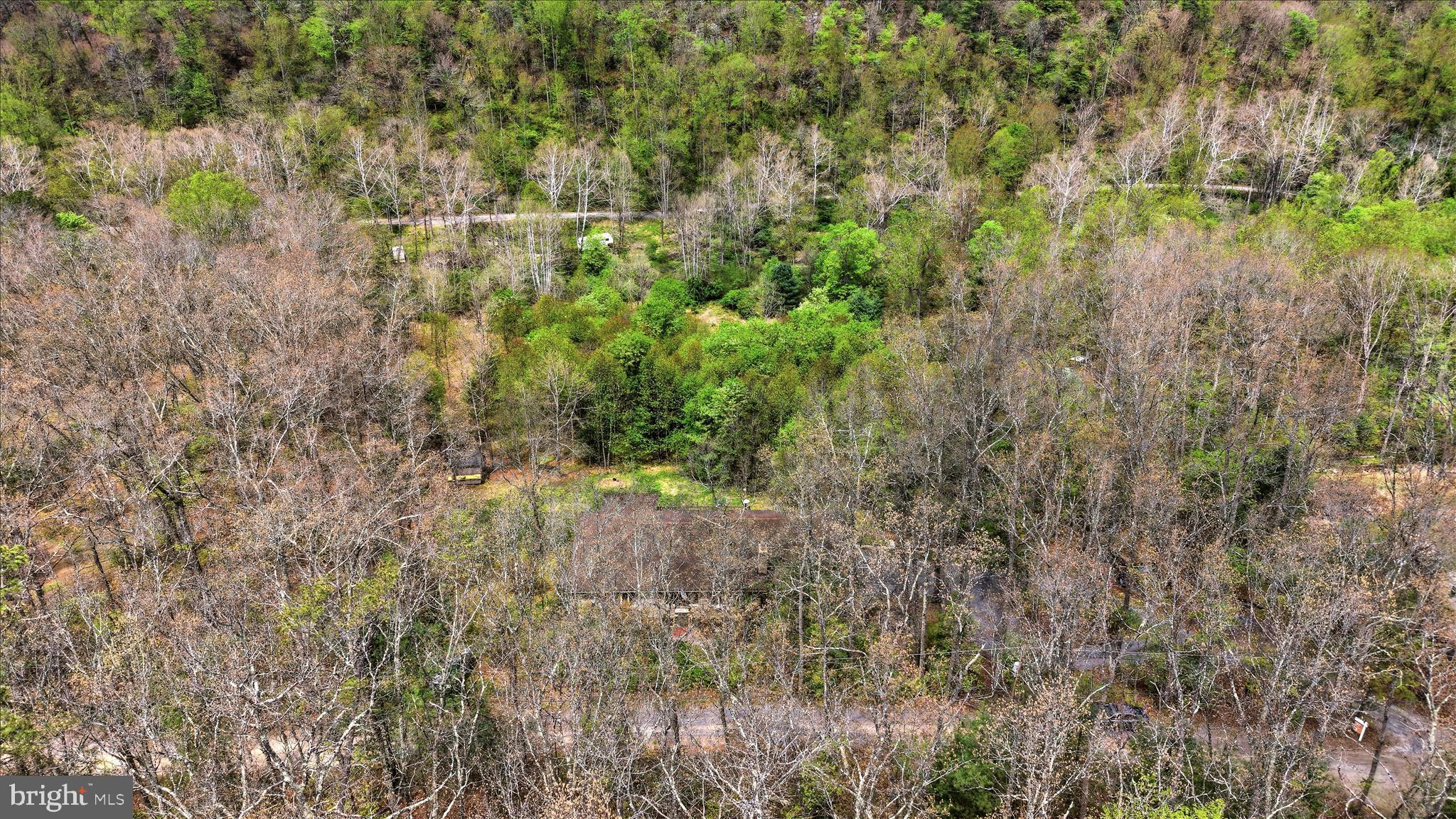 783 Ritters Valley Drive Capon Bridge, WV 26711 - Photo 69 of 73 Aerial View