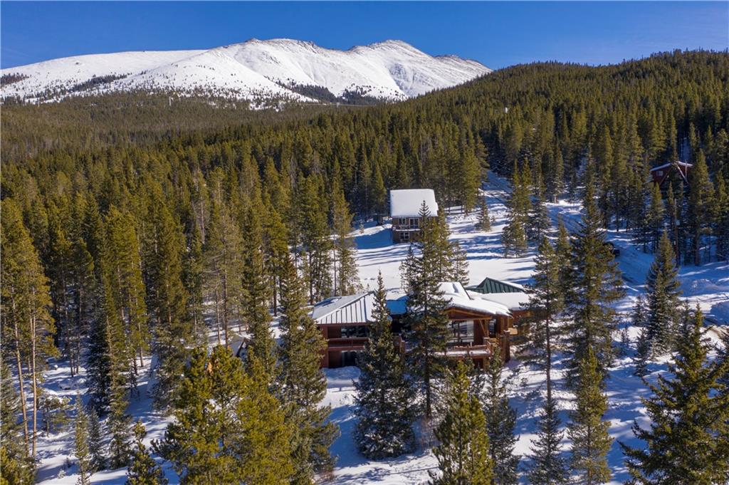 183 County Road 534 Breckenridge, CO 80424 - Photo 33 of 34 a view of outdoor space and city view