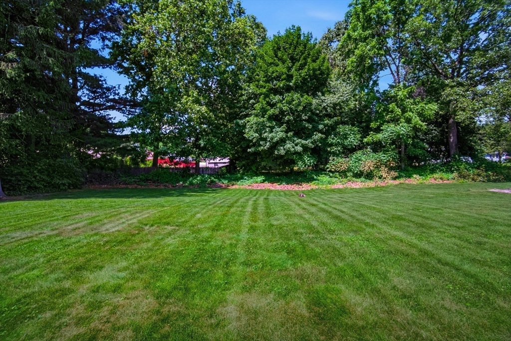 958 Parker Street Springfield, MA 01129 - Photo 28 of 34
