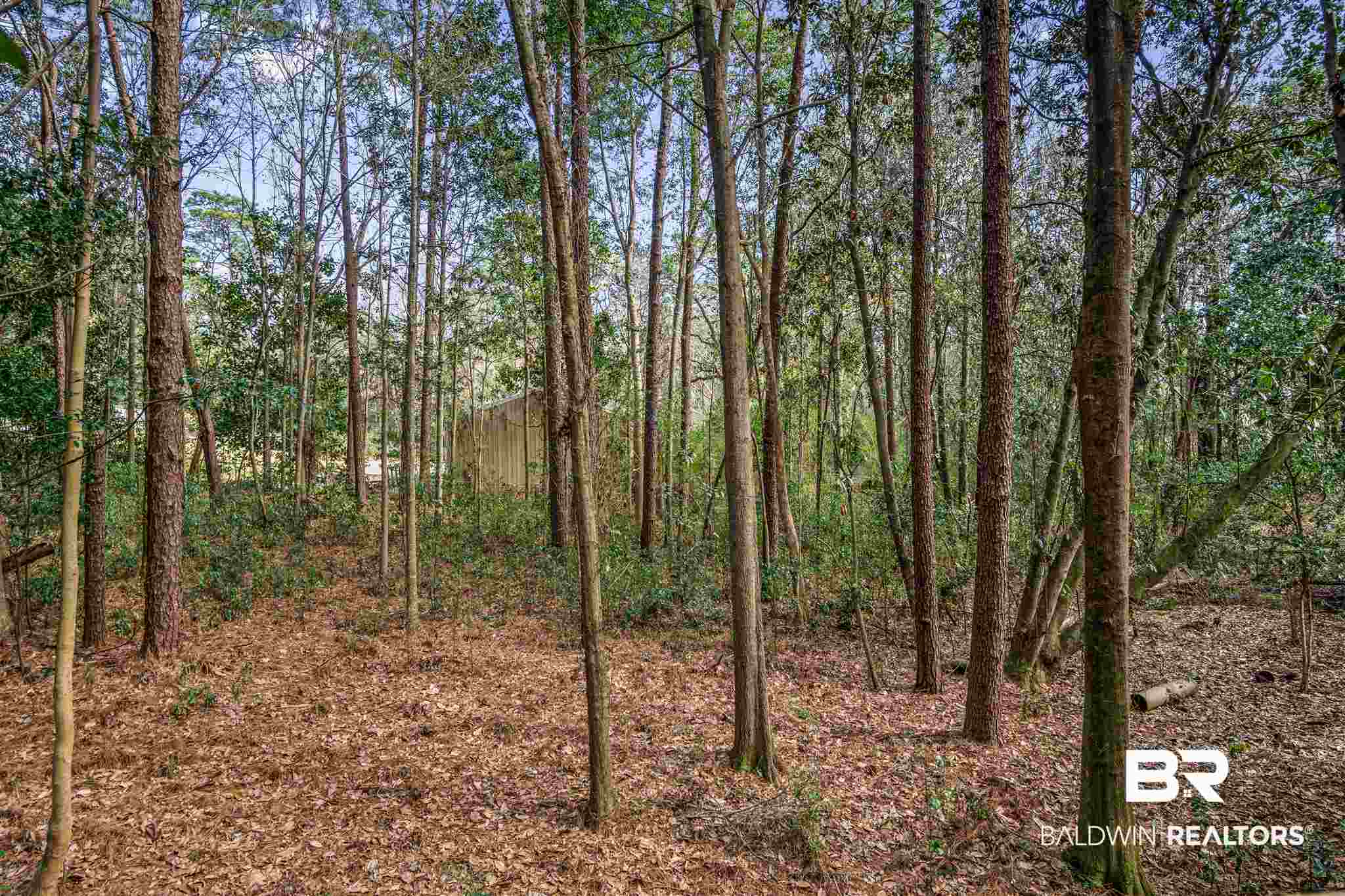 4371 Hoffman Road Mobile, AL 36619 - Photo 32 of 36