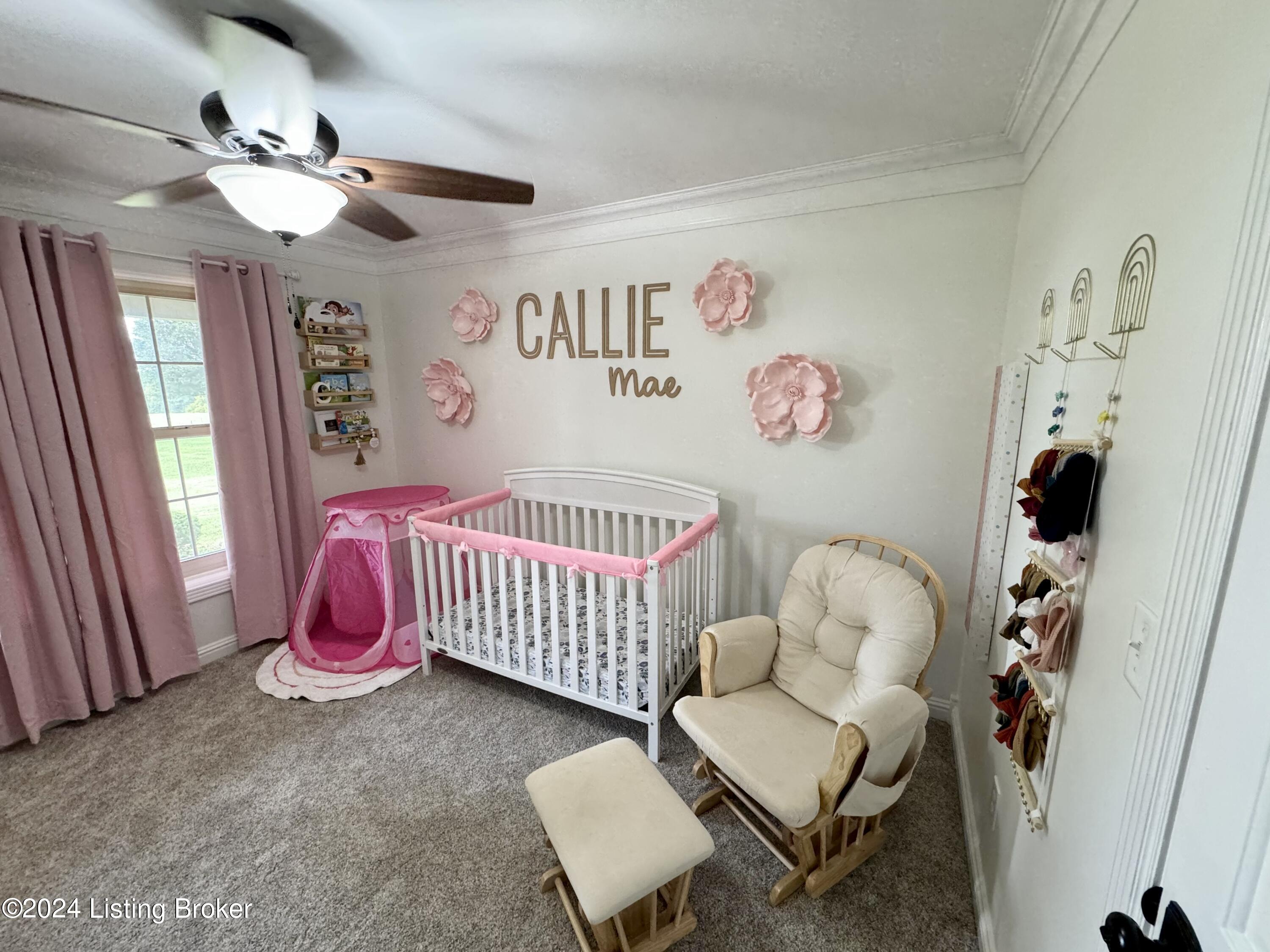 1090 McLain Road Springfield, KY 40069 - Photo 64 of 98 FullSizeRender