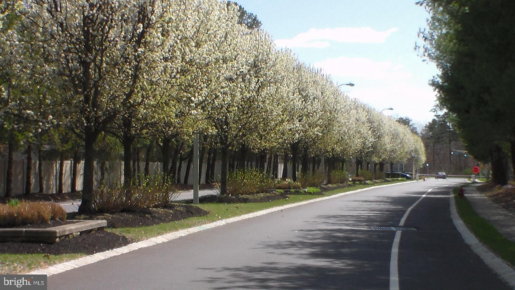 33 Shady Stream Road Barnegat, NJ 08005 - Photo 37 of 37 Gallery Image 37
