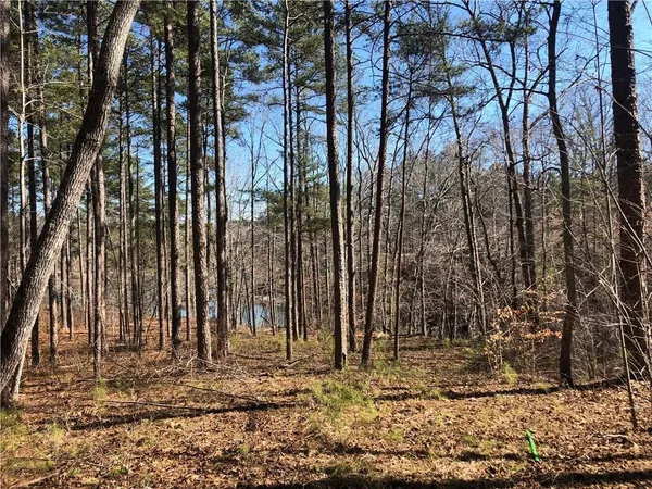 $115,000 | Lot 44 Glassy Water Way Union, West Union, SC 29696