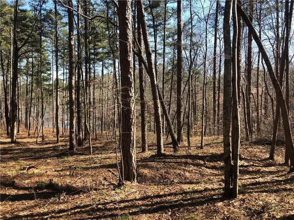 $115,000 | Lot 44 Glassy Water Way Union, West Union, SC 29696