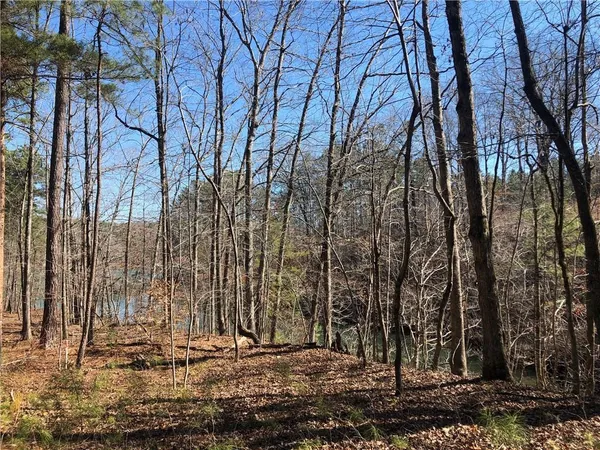 $115,000 | Lot 44 Glassy Water Way Union, West Union, SC 29696