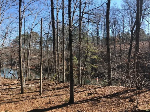 $115,000 | Lot 44 Glassy Water Way Union, West Union, SC 29696