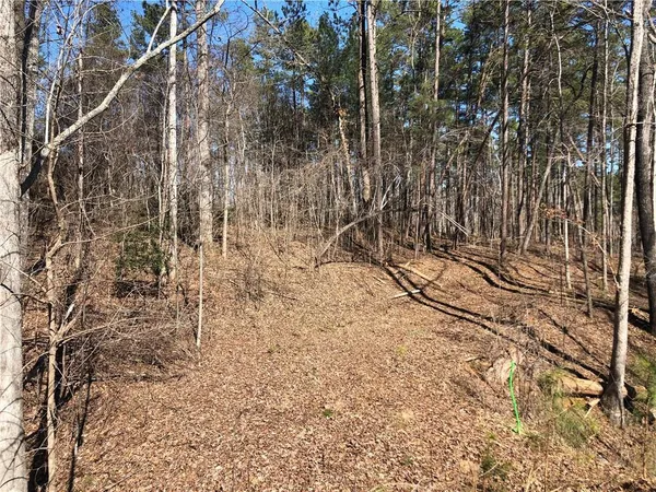 $115,000 | Lot 44 Glassy Water Way Union, West Union, SC 29696