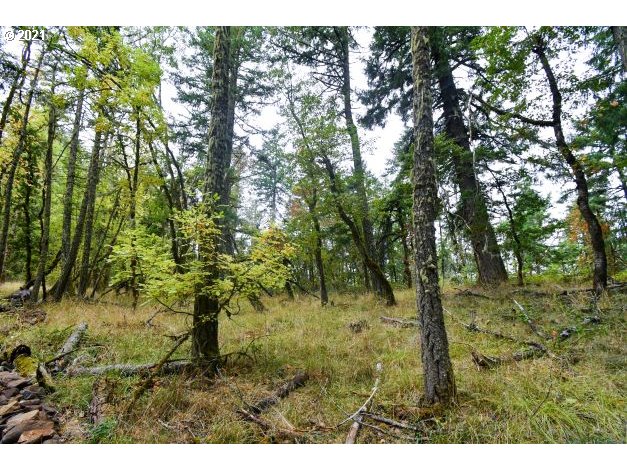 32475 Fox Hollow Road Eugene, OR 97405 - Photo 11 of 30 a view of a yard