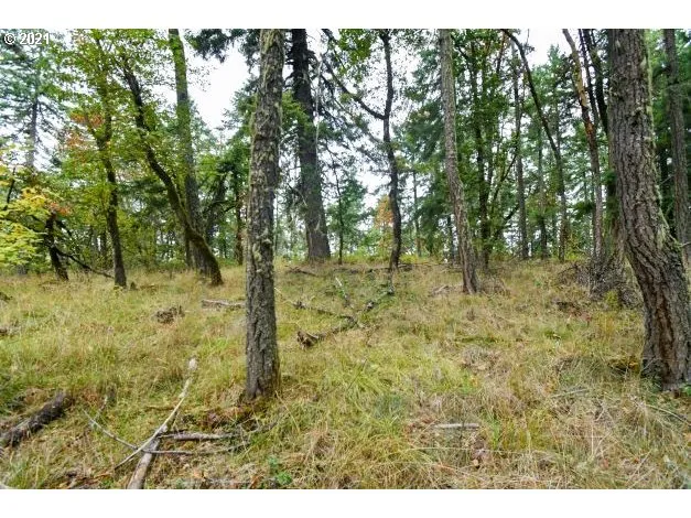 a view of outdoor space with trees