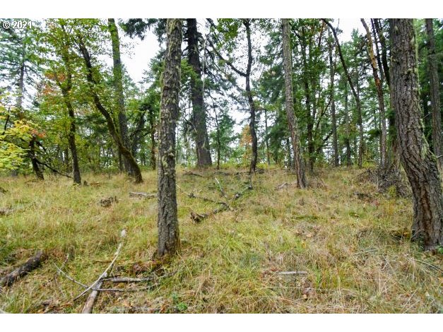 32475 Fox Hollow Road Eugene, OR 97405 - Photo 12 of 30 a view of outdoor space with trees