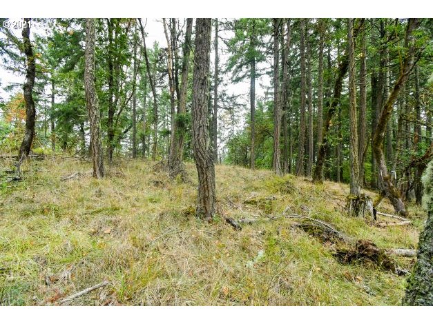 32475 Fox Hollow Road Eugene, OR 97405 - Photo 13 of 30 a view of outdoor space with trees