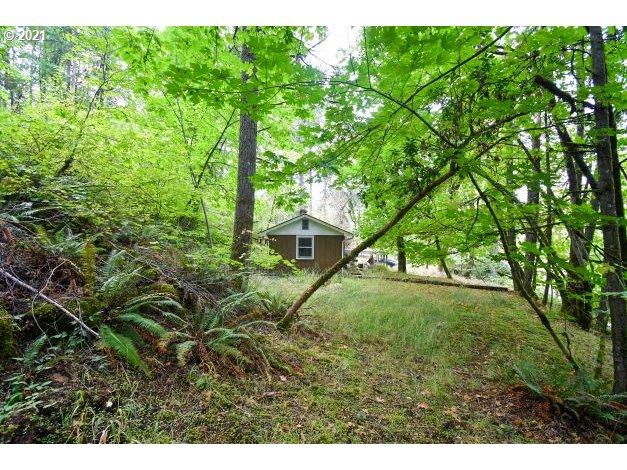 32475 Fox Hollow Road Eugene, OR 97405 - Photo 14 of 30 a view of backyard with green space