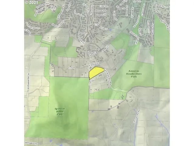 a view of a yard with plants and a bench