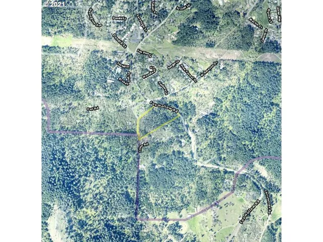 a view of a lush green forest