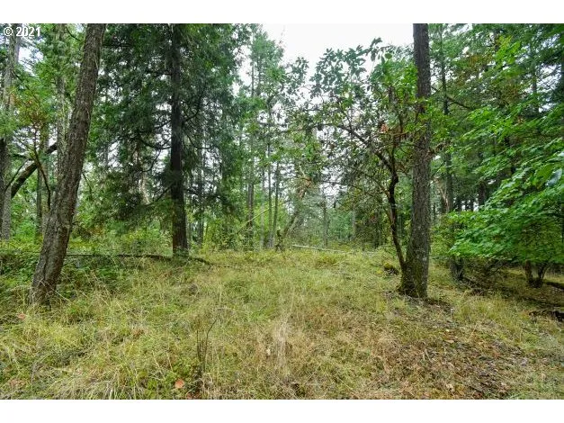 a view of outdoor space and trees