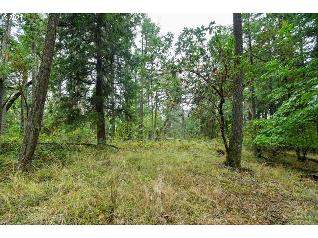 32475 Fox Hollow Road Eugene, OR 97405 - Photo 18 of 30 a view of a lush green forest