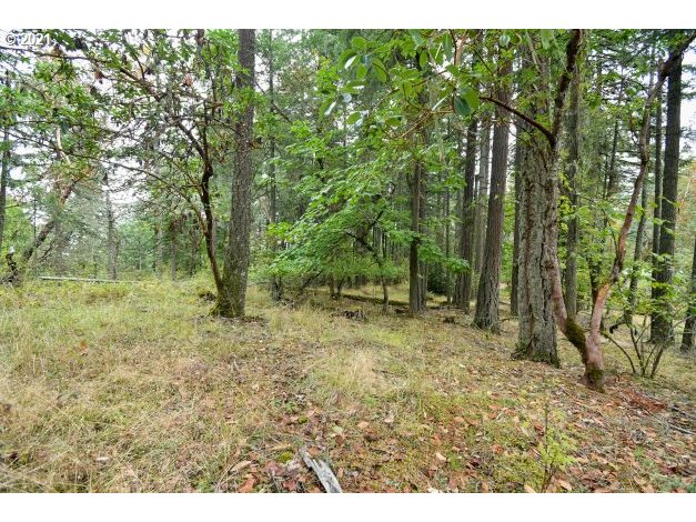 32475 Fox Hollow Road Eugene, OR 97405 - Photo 19 of 30 a view of outdoor space and trees