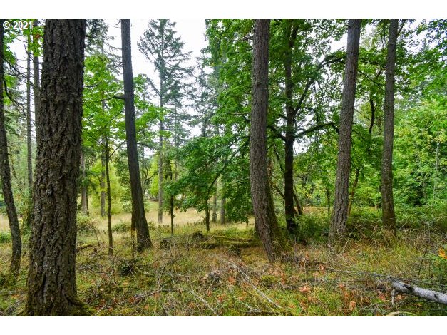 32475 Fox Hollow Road Eugene, OR 97405 - Photo 3 of 30 a view of outdoor space and trees