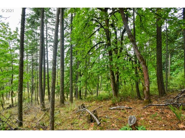 32475 Fox Hollow Road Eugene, OR 97405 - Photo 4 of 30