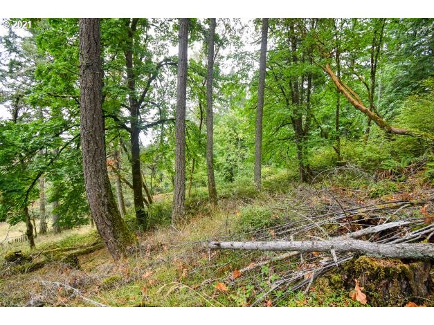 32475 Fox Hollow Road Eugene, OR 97405 - Photo 7 of 30 a backyard of a house with lots of green space