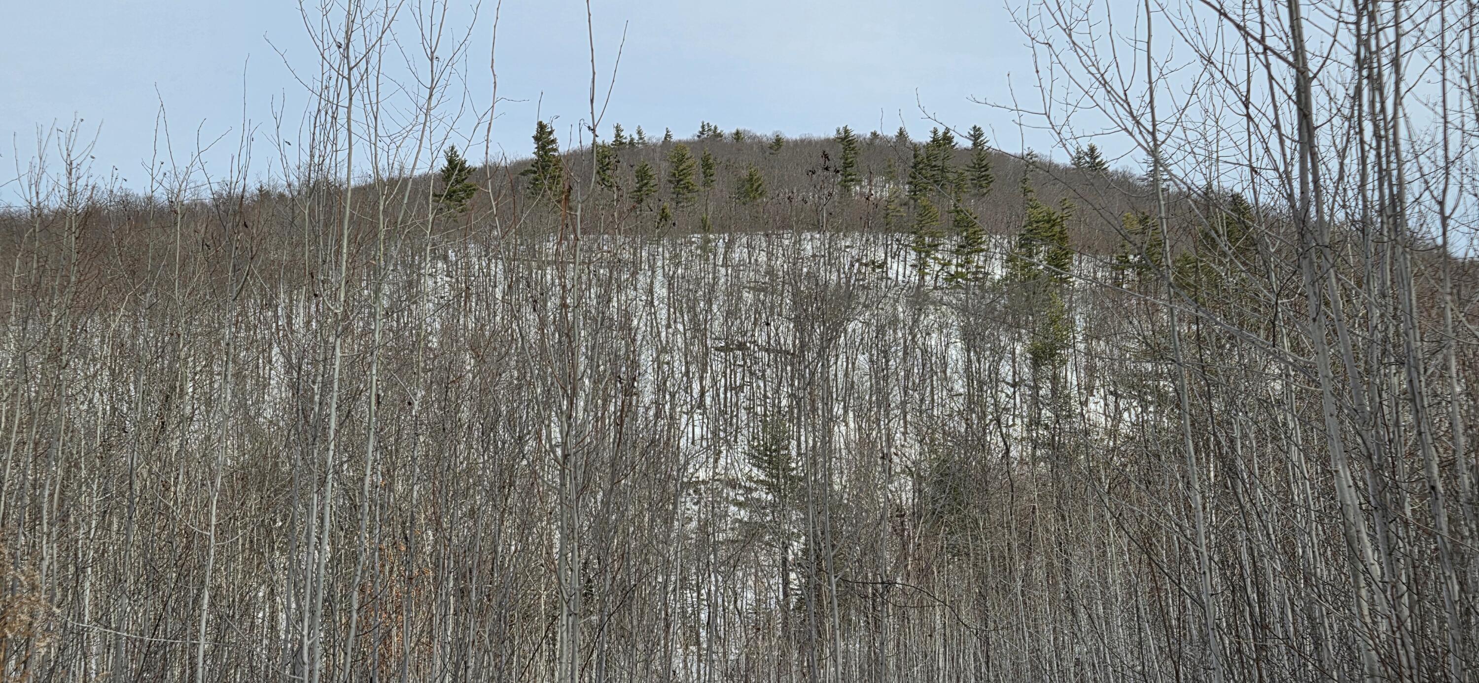 Lot #016 Isthmus Road Rumford, ME 04276 - Photo 5 of 7 Views at back of lot