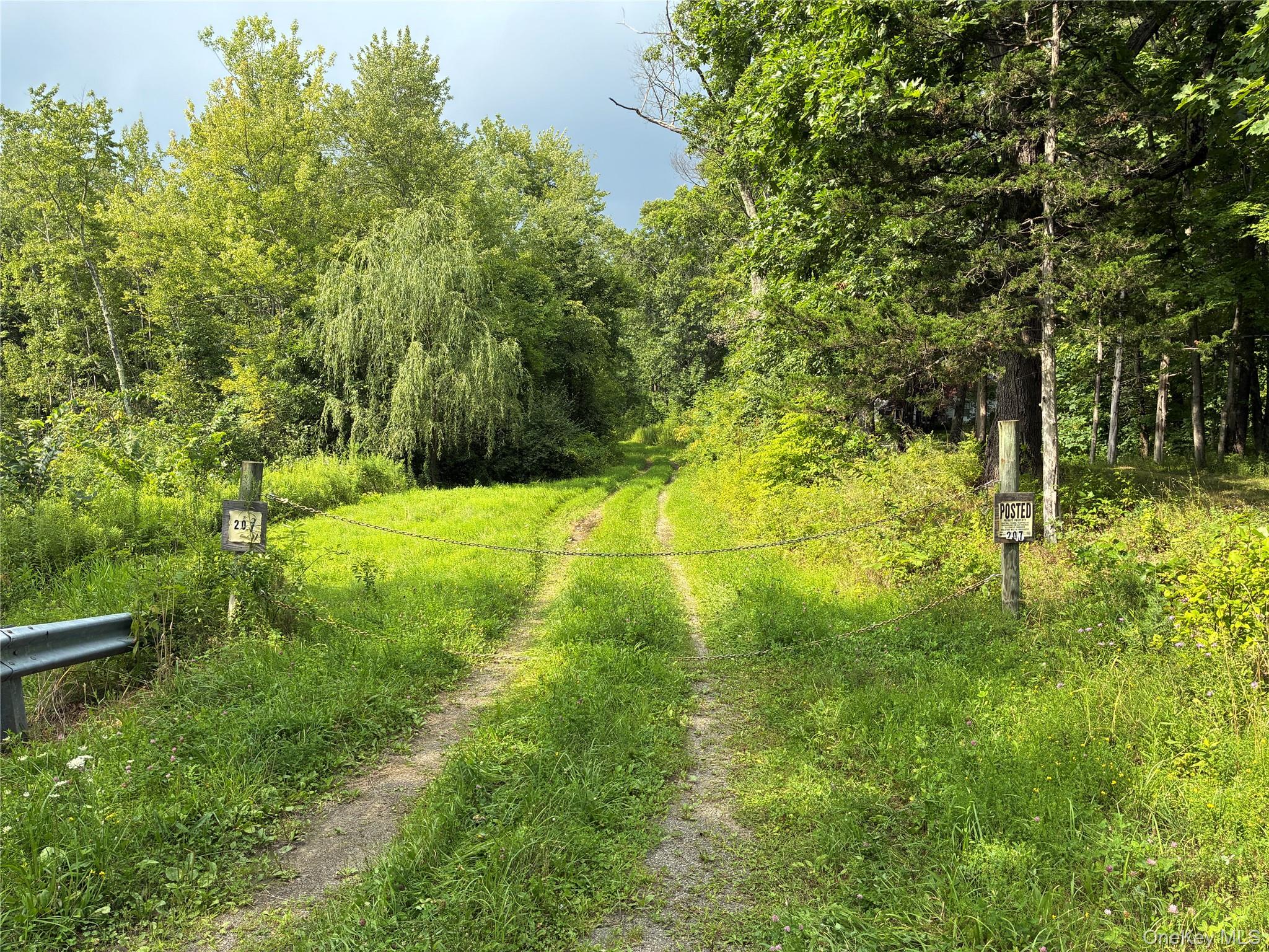 207 Pleasantvale Road Tivoli, NY 12583 - Photo 2 of 14 Access from Pleasantvale road